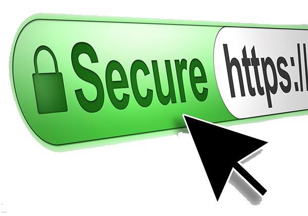 Получен SSL-сертификат